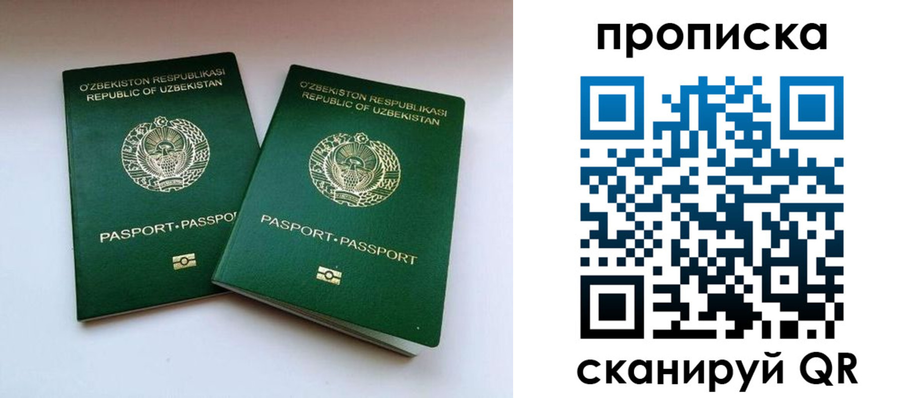прописка поиск в Людиново
